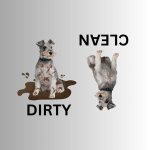 SCHNAUZER Clean Dirty Dishwasher Flexible Magnet